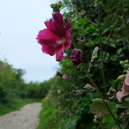 Cambuse A Au Premier Etage A 50 Metres De La